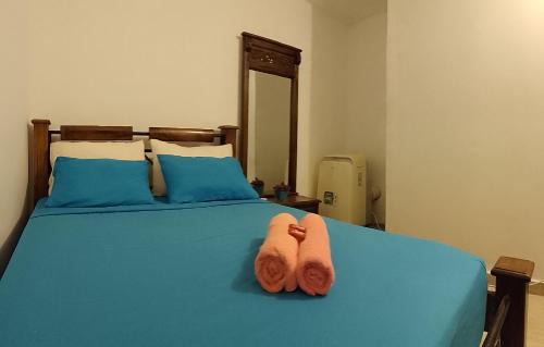 Mamatoco Bed & Breakfast | Casa San Sebastian