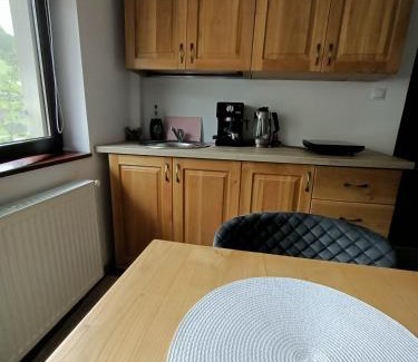 Chiscau Apartment | Casa Tâmplarului