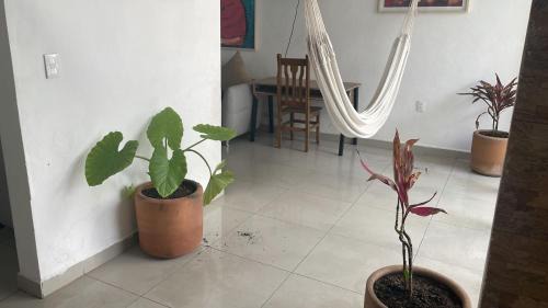 Luis Jimenez Figueroa House | Casa Tinoco