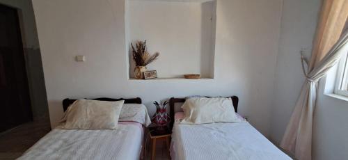 Assomada House | Casa Tota