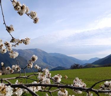 Vallo di Nera House | casa vacanze campagna in compagnia
