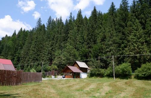 Arieseni Ski Chalet | Casa Valer Arieseni