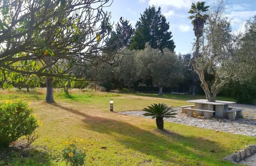 Sao Lourenco Cottage | CASAL DO CHOUPELO Farm with pool, barbecue, games room and land