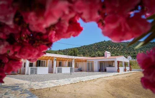 Evoramonte House | Casas de Santa Rita