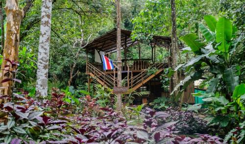 Baru Cabin | Cascada Elysiana