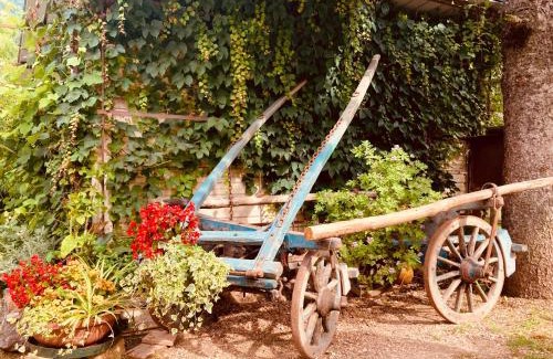 Sabbio Chiese Apartment | Cascina Canale
