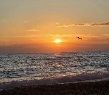 Cetraro Villa | Casetta 28 passi dal mare