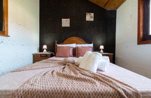 Figueiro dos Vinhos House | Casinha do Quadro
