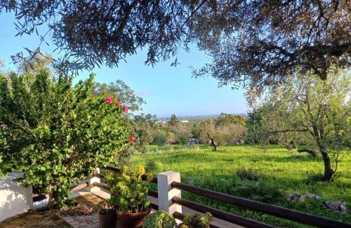 Santo Estevao House | Casinha Serena