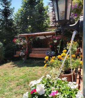Ciugud House | Casuta cu Brazi