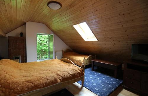 Sugag House | Casuta cu Zorele