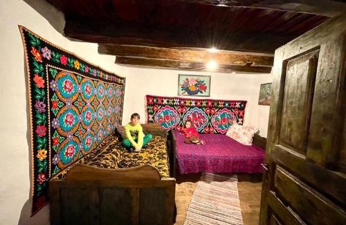Contesti House | Casuta Muzeu La Artar