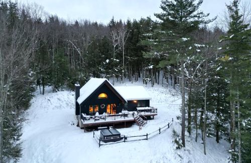 Prattsville Ski Chalet | Catskills Cabin: Hot Tub, Firepit, WFH, Ski, Games