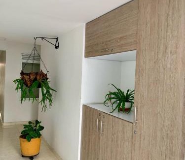 Campestre Apartment | Cavas AP