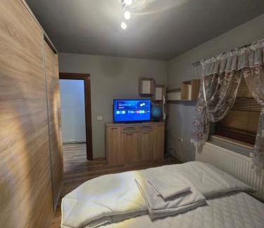 Ineu Apartment | CAZARE Ineu