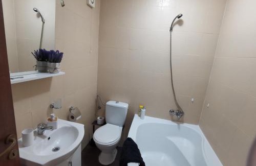 Popesti-Leordeni Apartment | CC Accommodation