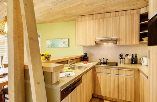 Curcay-sur-Dive House | Center Parcs - Domaine Le Bois aux Daims - 5 Room Cottage 8 People Premium