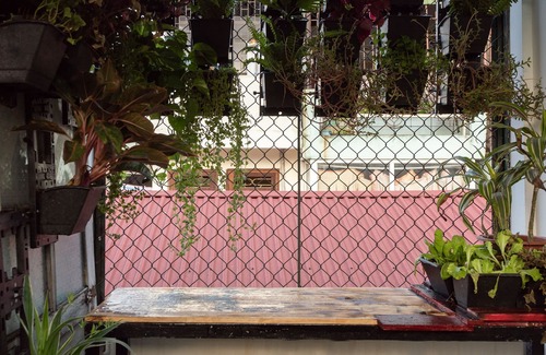 Van Mieu Apartment | Central Location with Wide Window and Roof-top Garden