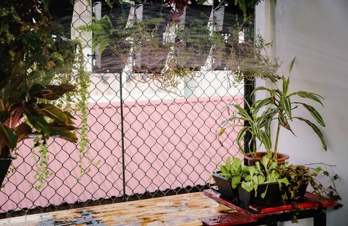 Van Mieu Apartment | Central Location with Wide Window and Roof-top Garden