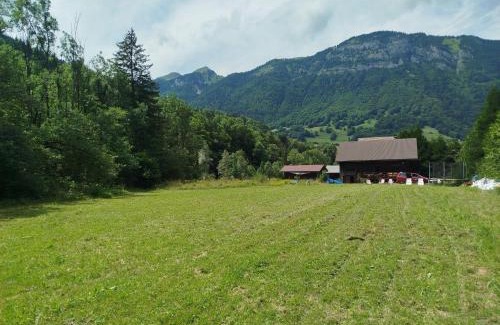 Entremont Ski Chalet | Châlet 8 personnes + grand terrain et rivière