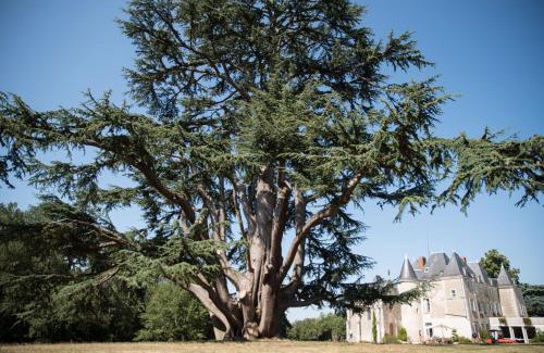 Dange-Saint-Romain Bed & Breakfast | Château de Piolant