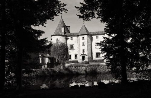 Saint-Dier-dʼAuvergne Bed & Breakfast | Château des Martinanches