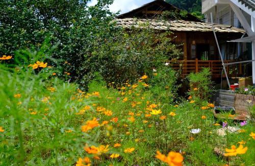 Mu Cang Chai Hotel | Chải Eco House