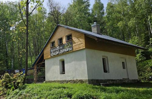 Kostany Ski Chalet | Chajdaloupka