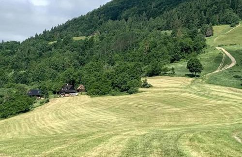 Zazriva Ski Chalet | Chalúpka pod Rozsutcom