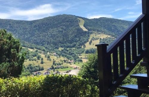 Bussang Ski Chalet | Chalet entier, vue panoramique, ruisseau et sauna.