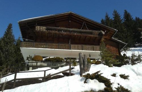 Jaun Apartment | Chalet Erica