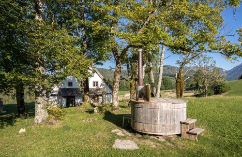 Lunz am See Ski Chalet | Chalet Hinterbreiteneben