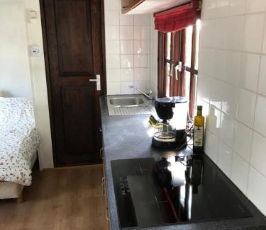 Winsum Ski Chalet | Chalet westerham