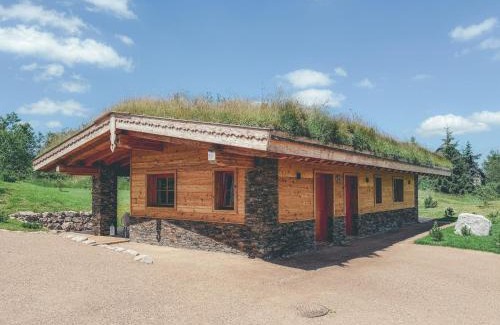 Cinovec Apartment | Chalets Resort