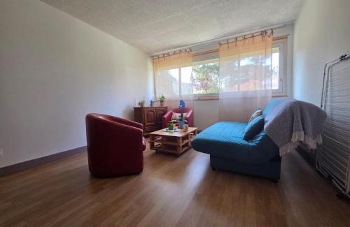 Ancely House | Chambre cozy, vue sur jardin, proche Tram centre ville & aéroport