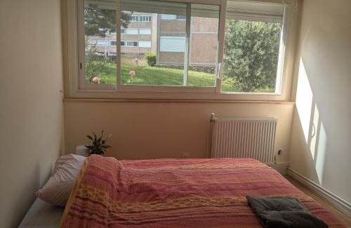 Ancely House | Chambre cozy, vue sur jardin, proche Tram centre ville & aéroport