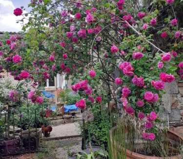 Saint-Crespin-sur-Moine Bed & Breakfast | Chambre d'hôtes