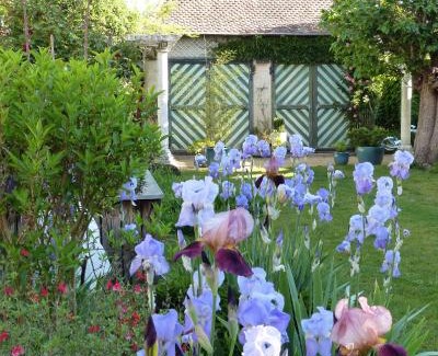 Marcigny Bed & Breakfast | Chambres d'hôtes Les Pergolas