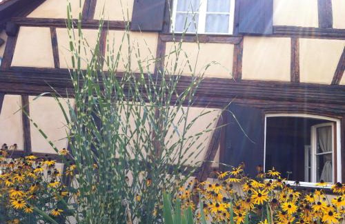 Illkirch-Graffenstaden Bed & Breakfast | Chambres d'Hôtes La Stoob Strasbourg Sud