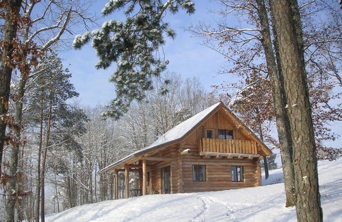 Essoyes Ski Chalet | Champagne log cabin with SWIMMING POOL (summer) and SAUNA (winter)
