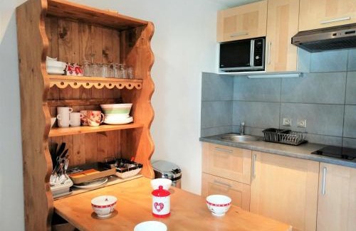 Les Esserts Apartment | Charmant 2 pièces rénové près des pistes à Morillon, 4 pers, parking, animaux acceptés - FR-1-412-49