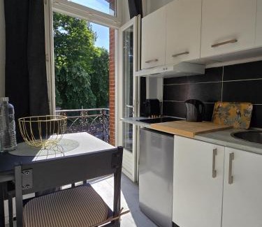 Tarbes Apartment | Charmant appartement chambre, cuisine et salle de bain avec balcon sur Jardin Massey