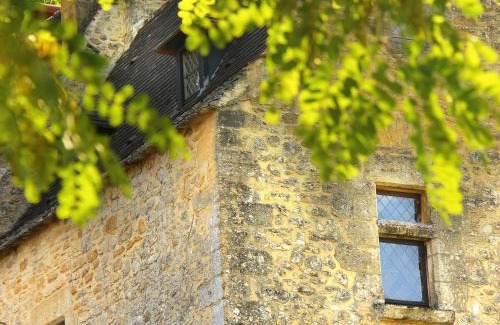 Beynac-et-Cazenac House | Charmant gîte Linol avec piscine