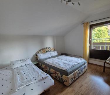Lindenberg im Allgaeu Apartment | Charmanter Rückzugsort im DG