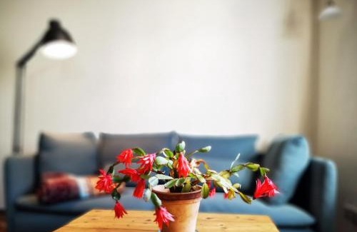 Weida Apartment | charmantes Apartment Siebenschläfer - Ferienwohnung Café 7