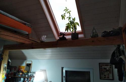 Nenzlingen House | Charmantes Western-Zimmer mit Veranda auf dem Raihof