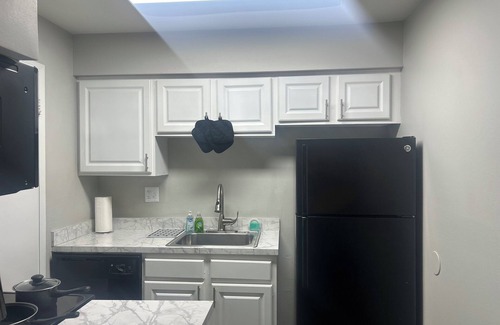 University Apartment | Charming 1-bedroom apartment in lovely Tampa with fitness room, WiFi