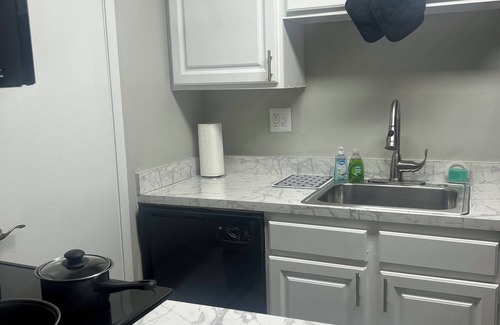 University Apartment | Charming 1-bedroom apartment in lovely Tampa with fitness room, WiFi