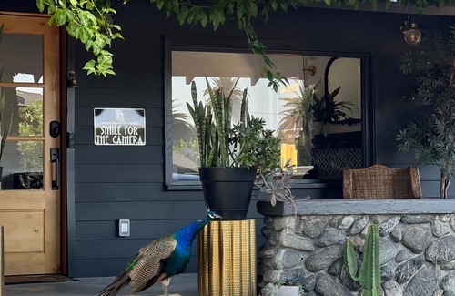 Westmont House | Charming 1-bedroom house with WiFi and AC in Pomona