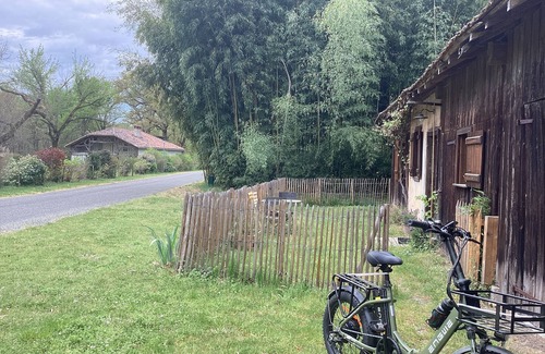 Losse Cabin | Charming cabin by a lake in the heart of the Landes d'Armagnac forest